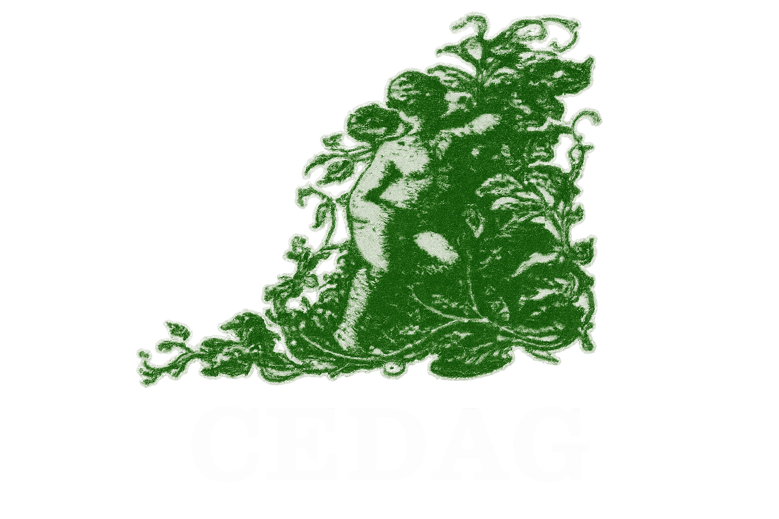 The Child Development Association The Gambia (CEDAG)